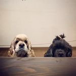 Michelle & Carmen - @miche_carmen - Instagram