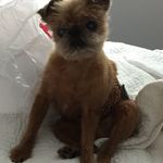 Michelle Carrier - @michellecarrier9638 - Instagram