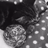 michelle.carruthers - @michelle.carruthers - TikTok