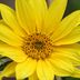 Michele Carruthers - Facebook
