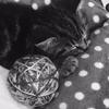 michelle.carruthers - @michelle.carruthers - TikTok