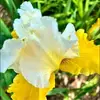 Michelle Casper Mapel - @michelle.casper.m - TikTok