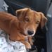 Michelle Cameron - Facebook