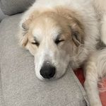 Michelle Catron Kennedy - @social4400 - Instagram