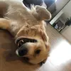 michelle.caulfield - @michelle.caulfield - TikTok