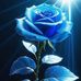 Michelle Caulk - Facebook