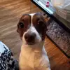 Michelle Cedillo - @michellecedillo50 - TikTok