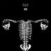 Huesera: The Bone Woman - Michelle Garza Cervera, 2022 - Facebook