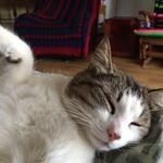 Michelle Charest - @charestmmjr - Instagram