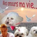 Michelle Chamousset - @michellechatelet - Instagram