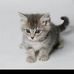 Michelle Chatel - Facebook