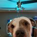 Michelle Chesser - Facebook