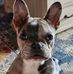 Michelle Rinehart Chism - Facebook
