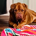 Michelle Clary - @bosoxmomma - Instagram