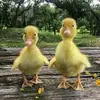 michelleclift326 - @michelleclift326 - TikTok
