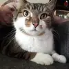Michelle - @michelleclose51 - TikTok