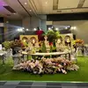 Michelle Co - @michellelcc - TikTok
