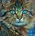 Michelle Coe - Facebook