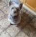 Michele Colangelo - Facebook