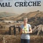 Michelle Collis - @dolphin2swim - Instagram