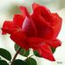 Michelle Conerly - Facebook