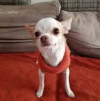 Michelle Constantin - Facebook