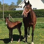 Michel Leconte - @michel.leconte.1272 - Instagram