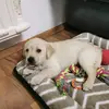 Michelle - @michelle.ist.cool - TikTok