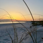 Michelle L Copple - @shellr28 - Instagram