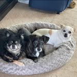 Michele Coppock - @mcoppock1210 - Instagram