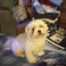 Michele Cornwell - Facebook