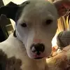 michelle corriveau - @michelle.corrivea - TikTok
