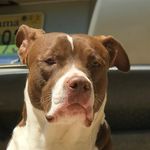 Koda Michelle Cosby - @koda_cosby - Instagram