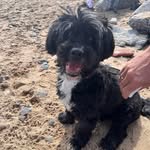 Michelle Cotterill - @michellecotterill - Instagram