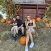 Michelle Coy - Facebook