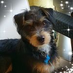 Michelle Coy - @michelle.coy.146 - Instagram