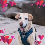Michelle Crafton - @michelle.crafton - Instagram