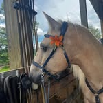 Michelle Craven - @michelle.craven.71 - Instagram