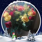 Michelle Craven - @michelle.craven.940 - Instagram