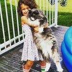 michelle cress - @rockatoonya - Instagram