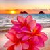 Michelle Cress - Facebook