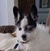 Michelle Crook - Facebook