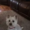 Michelle Crook - @michelle.crook6 - TikTok
