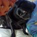 Michelle Crook - Facebook