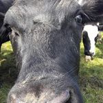 Aaron Michelle Croucher - @aaroncroucher - Instagram