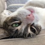 Michelle Crowson - @michelle.crowson.33 - Instagram