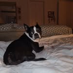 Michelle Culler - @kala_hui2000 - Instagram