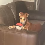 Michelle Cullerton - @michellecullerton - Instagram