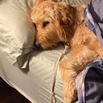 Michelle Mulvihill Culler - @mulvihillculler - Instagram