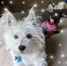 Michele Cypher - Facebook
